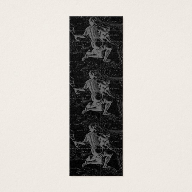 Aquarius Zodiac Constellation Hevelius 1690 (Devant)