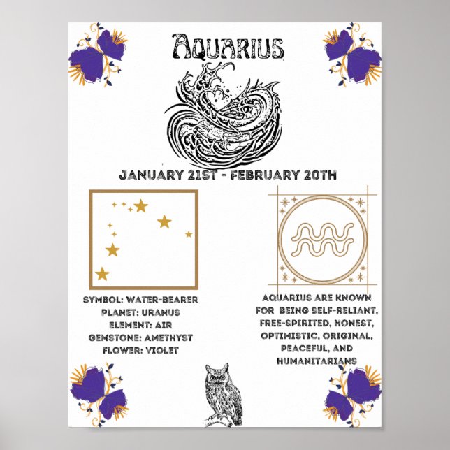 Aquarius Zodiac Poster (Front)