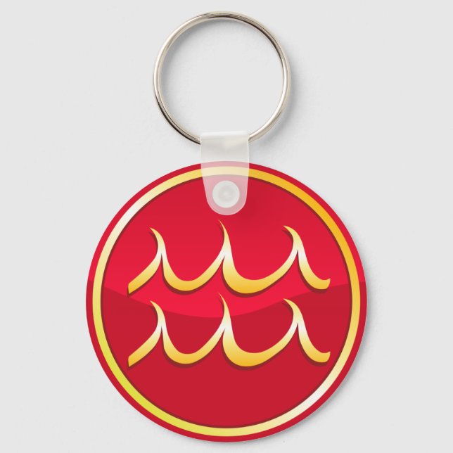 Aquarius - Zodiac Signs Keychain (Front)
