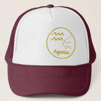 Aquarius Zodiac Symbol Star Sign Birthday