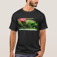 Aquascape