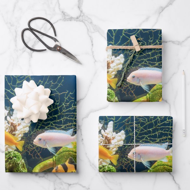 Aquascape Wrapping Paper Sheet (Front)