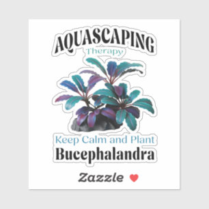 Aquascaping Therapy – Keep Calm and Plant Bucephal
