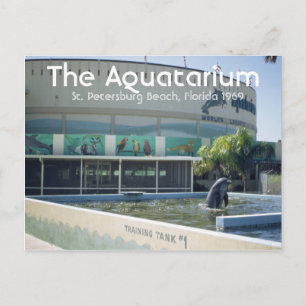 Aquatarium St. Pete Beach Florida Postcard