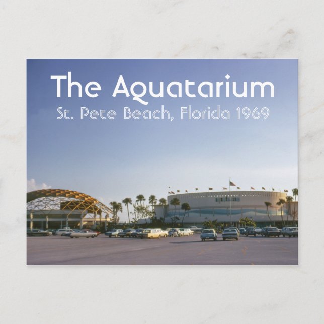 Aquatarium St. Pete Beach, Floride Carte postale (Devant)