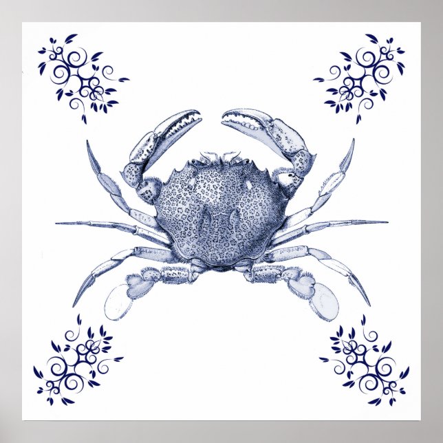 Aquatic Art ~ Pacific Ocean Common Crab Poster (Front)