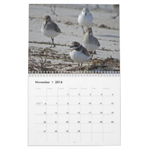 Aquatic Birds Calendar