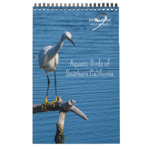Aquatic Birds of Southern California by Kelly Nine Calendar