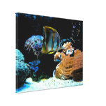 Aquatic Landscape - Wrapped Canvas Stretched Canvas Prints