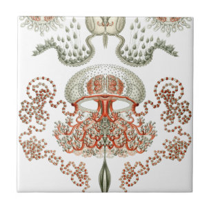 Aquatic Life ~ Haeckel ~ Jellyfish Ceramics Tile