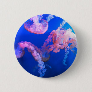 Aquatic Nautical Photos Marine Animal Photography 2 Inch Round Button