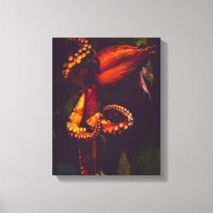 Aquatic Nautical Photos Marine Animal Photography Canvas Print