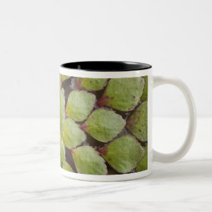 Aquatic Plants Rupununi, Guyana. Two-Tone Coffee Mug
