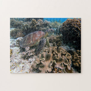 Aquatic Puzzles Nautical Photos Marine Fish Puzzle