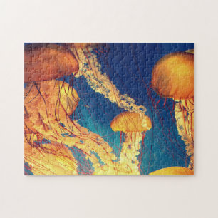 Aquatic Puzzles Nautical Photos Marine Fish Puzzle