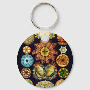 Aquatic Sealife Ernst Haeckel Ascidiae A01 Keychain