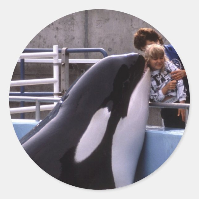 Aquatic Stickers (Front)