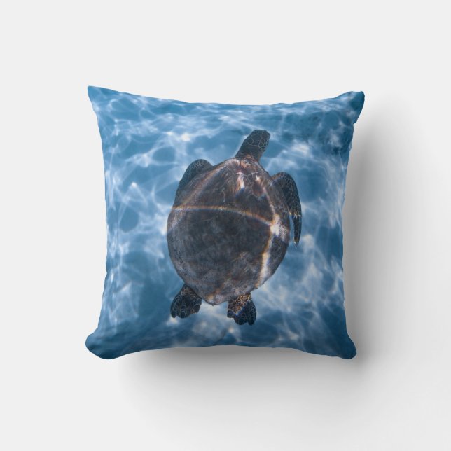 Aquatic turtle throw pillow (Front)