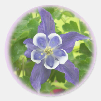 Aquilegia Columbine Flower Round Stickers