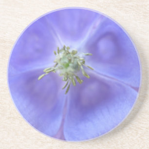 Aquilegia Flower Coasters