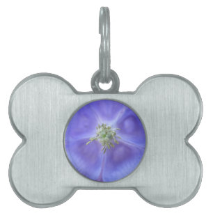 Aquilegia Flower Pet Tag