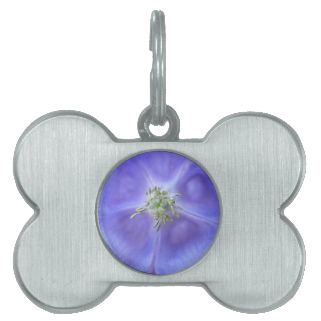 Aquilegia Flower Pet Tag (Front)