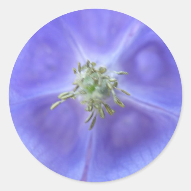 Aquilegia Flower Sticker (Front)