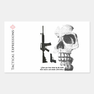 AR15 92FS with Skull Sticker