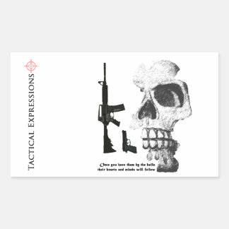 AR15 92FS with Skull Sticker