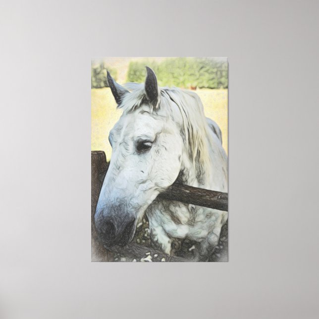 *~* AR22 White Horse over Fence Equine Canvas Print (Front)