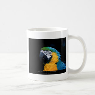 Ara ararauna - Blue-and-yellow Macaw  01 Coffee Mug