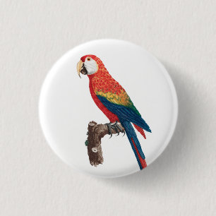 Ara Canga Parrot 1 Inch Round Button