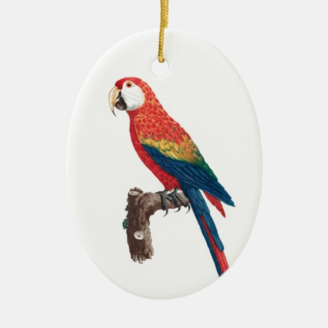 Ara Canga Parrot Ceramic Ornament (Front)