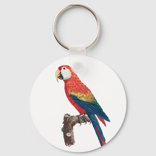 Ara Canga Parrot Keychain (Front)