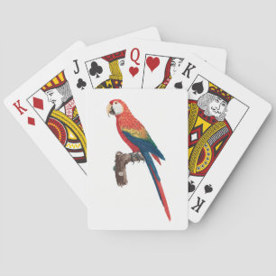 Ara Canga Parrot Playing Cards
