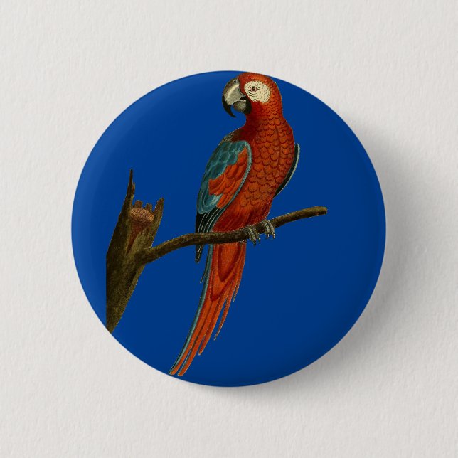 Ara red parrot 2 inch round button (Front)
