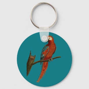 Ara red parrot keychain