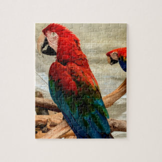 Ara sur branche d'arbre puzzle