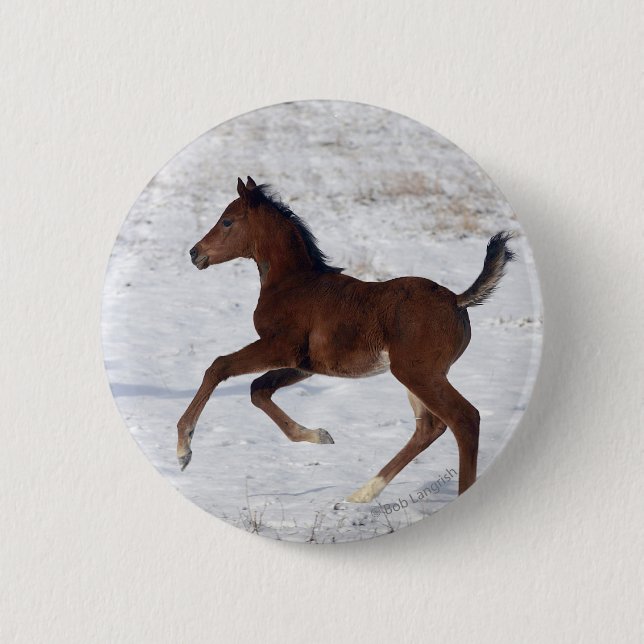 Arab Foal in the Snow 2 Inch Round Button (Front)