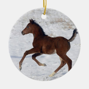 Arab Foal in the Snow Ceramic Ornament