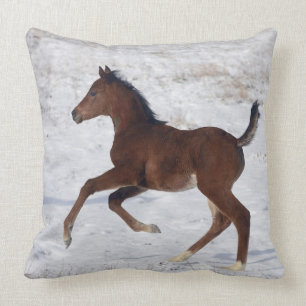 Arab Foal in the Snow Throw Pillow