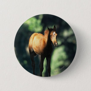 Arab Foal in the Trees 2 Inch Round Button