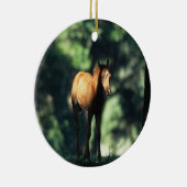 Arab Foal in the Trees Ceramic Ornament (Right)