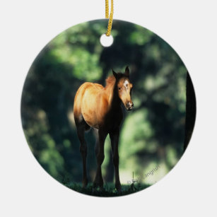 Arab Foal in the Trees Ceramic Ornament