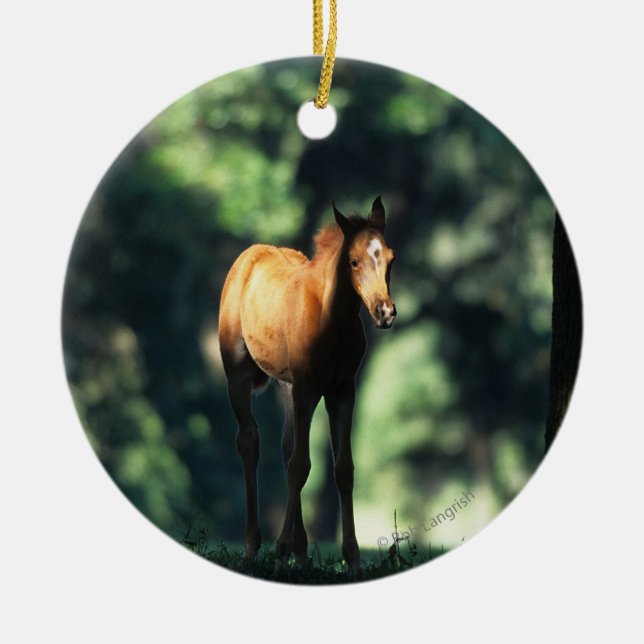 Arab Foal in the Trees Ceramic Ornament (Front)