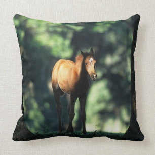 Arab Foal in the Trees Throw Pillow