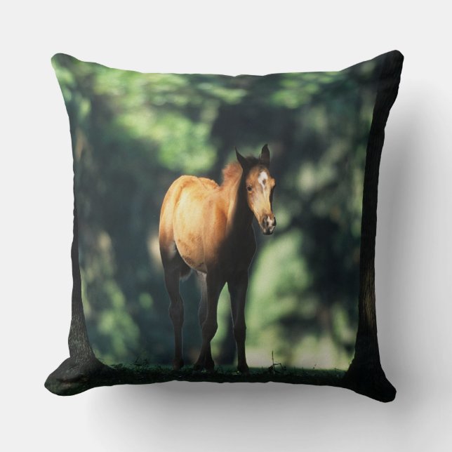 Arab Foal in the Trees Throw Pillow (Front)