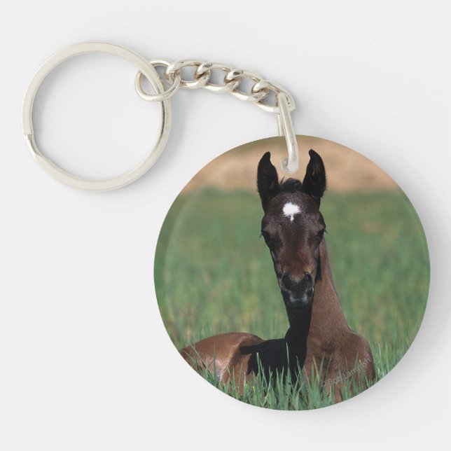 Arab Foal Laying Down Keychain (Front)