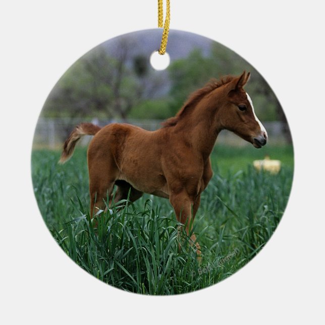 Arab Foal Standing Ceramic Ornament (Front)