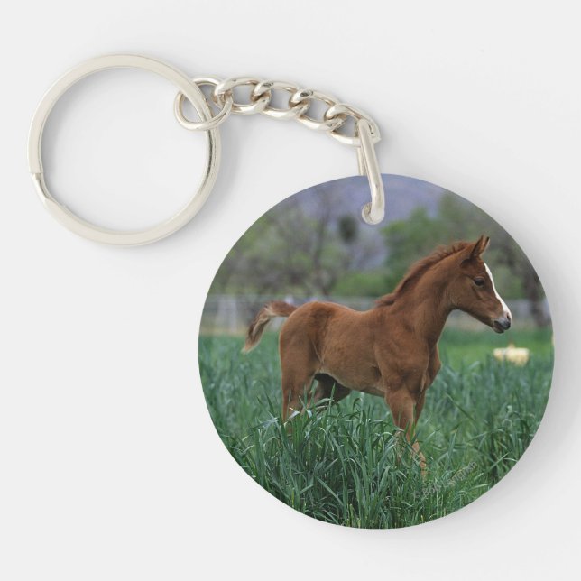 Arab Foal Standing Keychain (Front)